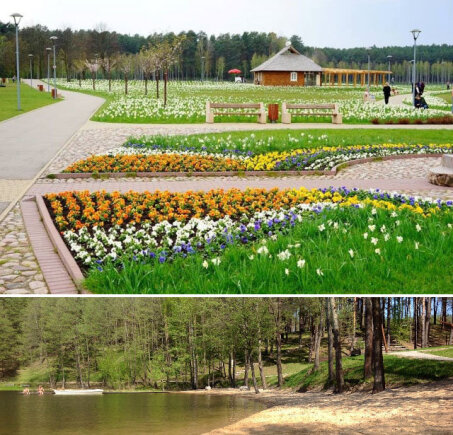 Akcentcity.lt nuotr./Vijūnėlė