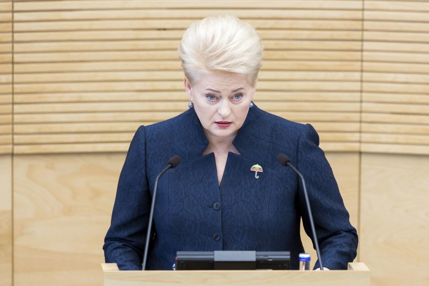 Prezidentė Dalia Grybauskaitė skaito metinį pranešimą